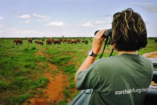 Earthwatch Student Fellowships